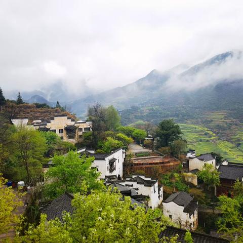 婺源景德镇之行