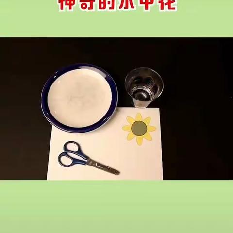 宣桥幼儿园｜学学乐乐玩不停 线上推送（小班）