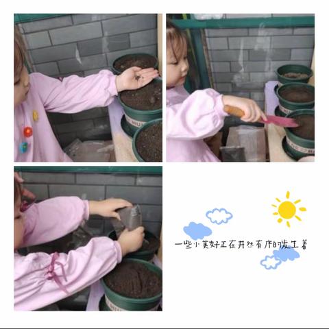 浦东新区宣桥幼儿园中7班家庭百草园故事