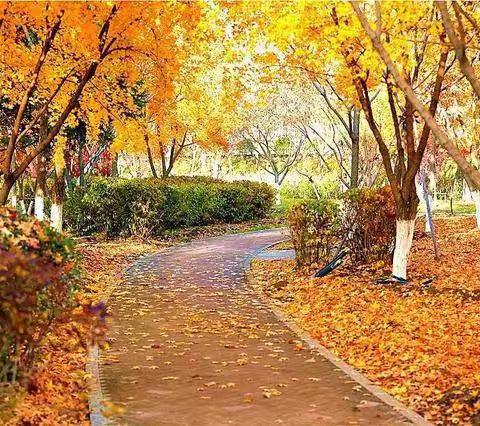 山有顶峰，湖有彼岸——瀚林集团水发实验学校初三二级部教学日常工作