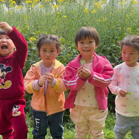 苗苗二班三月份精彩回顾