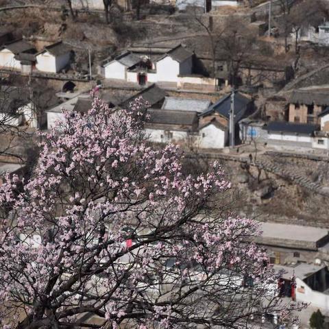 春日漫步，太行山古村落
