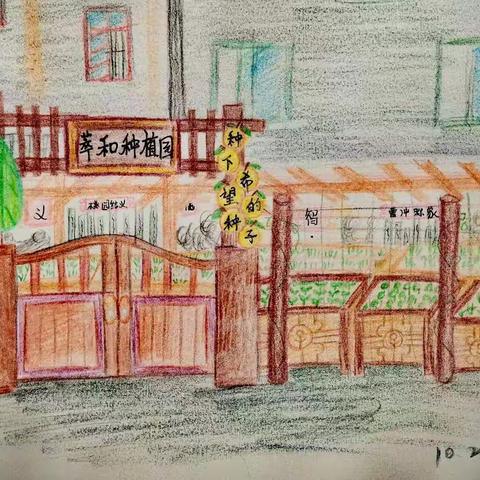 回归自然，做个快乐的小菜农——四七班种菜记