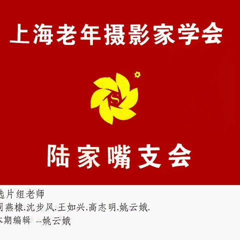 上海老年摄影家学会陆家嘴支会（2022年第一期）