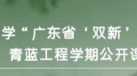“双新”赋能新课堂，青蓝绽放展风采