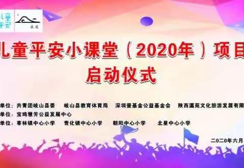 奉献爱心·点燃希望——岐山县2020年“壹基金儿童平安小课堂”公益项目启动仪式暨枣林镇中心小学创建“平安校园”