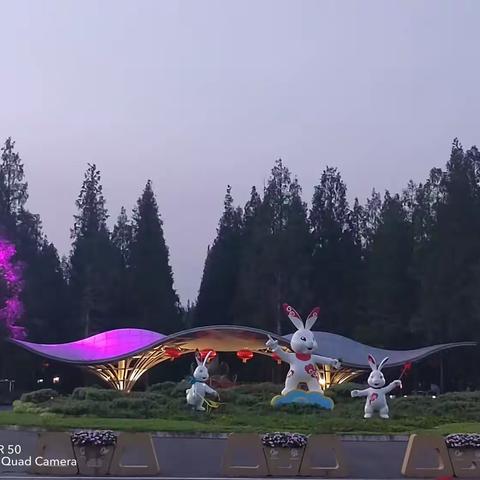 避暑在东平国家森林公园