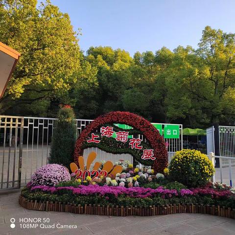观上海菊花展