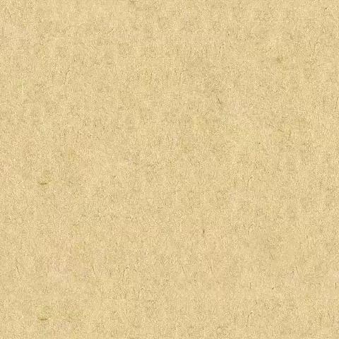 光的折射（复习2）11月30日星期三