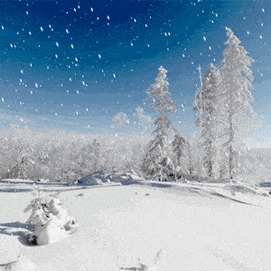 冬天到雪花飘