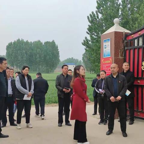 党建引领促提升，逐校观摩找差距——芦岗乡“逐校观摩  整乡提升”基层党建工作组走进周营小学
