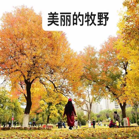 美丽的季节，美丽的新乡。