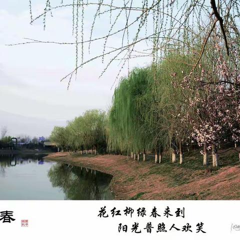 初春⋯…花红柳绿春来到，阳光明媚人欢笑