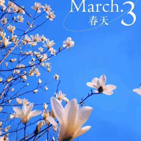 聆听名师课堂  共享教学盛宴——李钊庄镇中心学校邀名师送教活动纪实