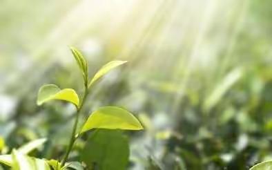 助力成长——周各庄小学“五项管理”工作纪实