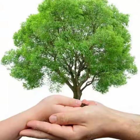 家校携手，共筑学生成长之路——周各庄完全小学家长会纪实