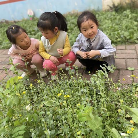 春日限定温柔——小一班植树节活动禹洲华侨城幼儿园