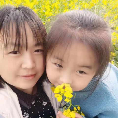 春暖花开，寻找春天