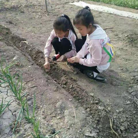 种瓜得瓜，种豆得豆。