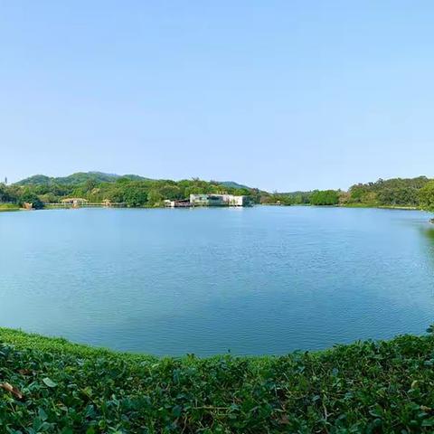 第30届广州园林博览会麓湖竹艺展区