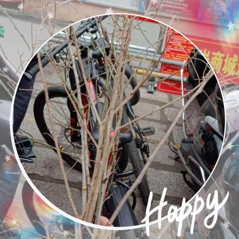 大一班美术活动：《树枝大变身》花絮