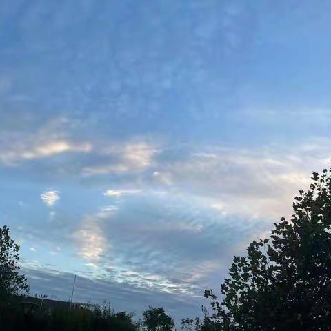 182211115刘婷婷《中学作文》作文汇总