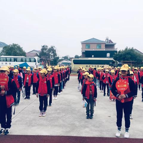 箬塘小学五年级荷鹭牧场研学秋游之旅