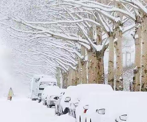 积极应对恶劣天气，筑牢抵御风雪防线