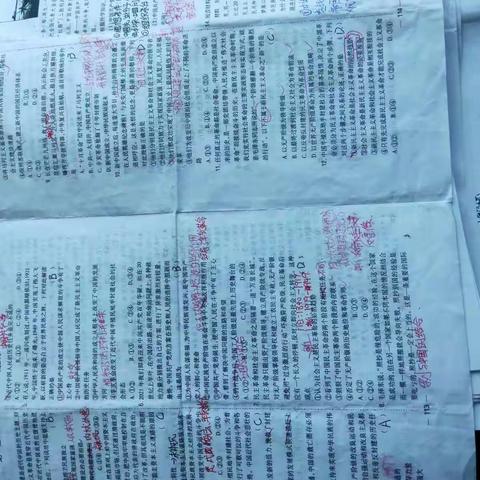 优化学生作业，提高学习效率