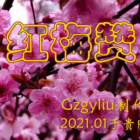 Gzgyliu的美篇