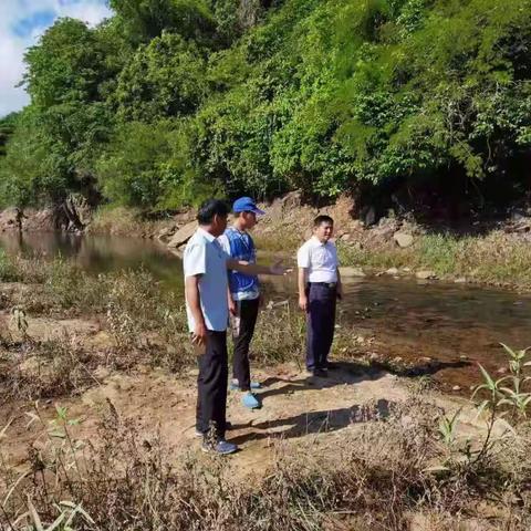 天涯区政府蔡永书副区长到高峰抱龙巡河