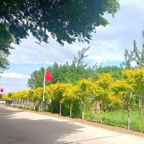 俺的家乡呀～东屏镇