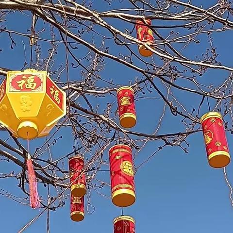 过年的红灯笼