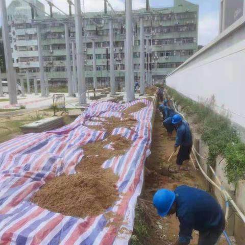 110千伏大吉甲乙丙电缆回收