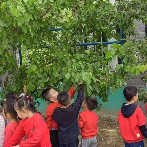 中宁县第一幼儿园中二班一周精彩掠影