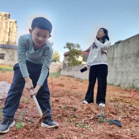 春风送暖学雷锋，三月植树我先行，---2211班“学雷锋之植树节”美篇版