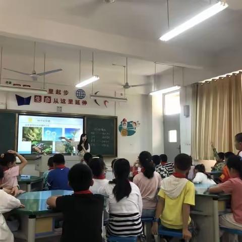 福州市黄山小学校内科学公开课信息报道