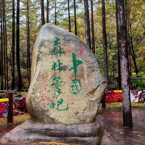 雨中枫林谷
