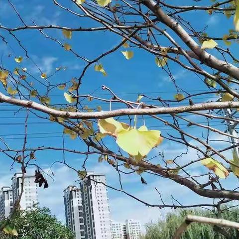 遇见美好 以爱传递