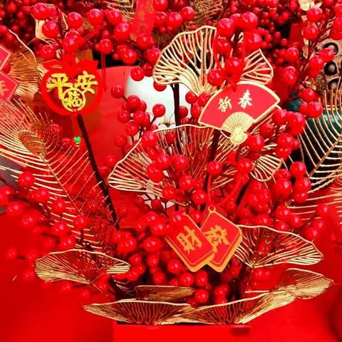 冬游花卉市场👣