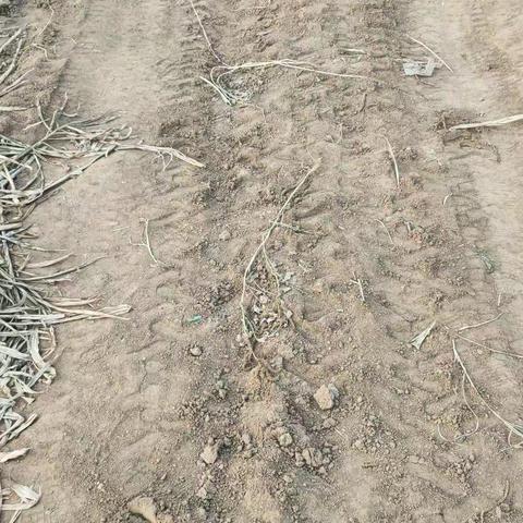 土路，田野，小桥，溪水，水草，以及古老的小卡车，溜溜球，玩具，小零食，都是童年的回忆！