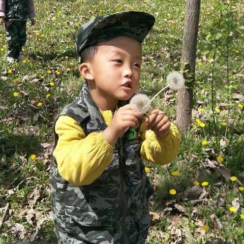 向快乐出发――春游记！高师附属幼儿园小（3）班