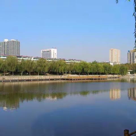 滨河晨景