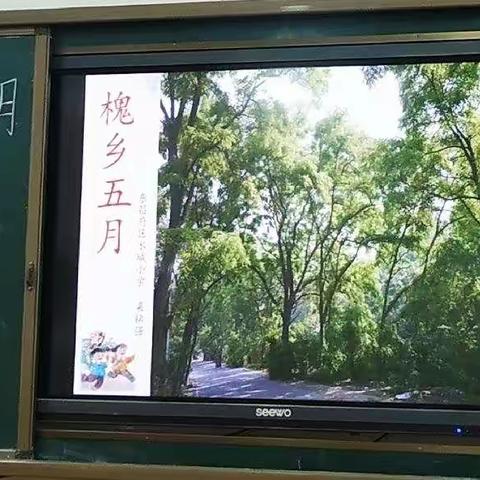 和风惠万物    百花俏枝头——水城小学语文组第七次教研活动剪影