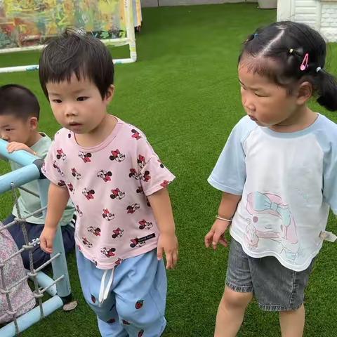 小七班一周回顾