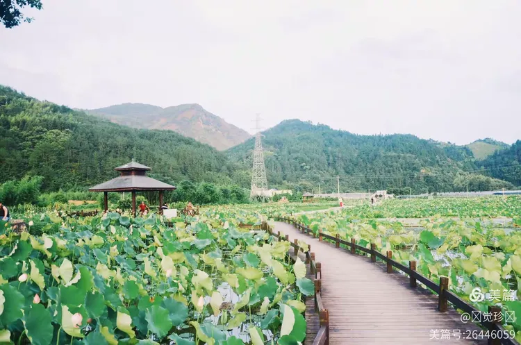 武汉青莲观超度-超山青莲寺开门吗 武汉青莲观超度-超山青莲寺开门吗