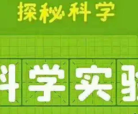 金康幼儿园停课不停学，我们在行动