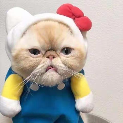 唯有美食与你不可辜负