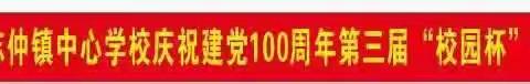 志仲镇中心学校举办庆祝“建党100周年”第三届校园杯足球比赛