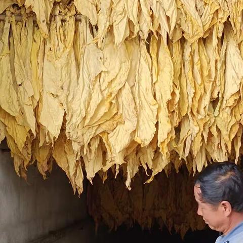 回顾一下一年来所经历的工作，